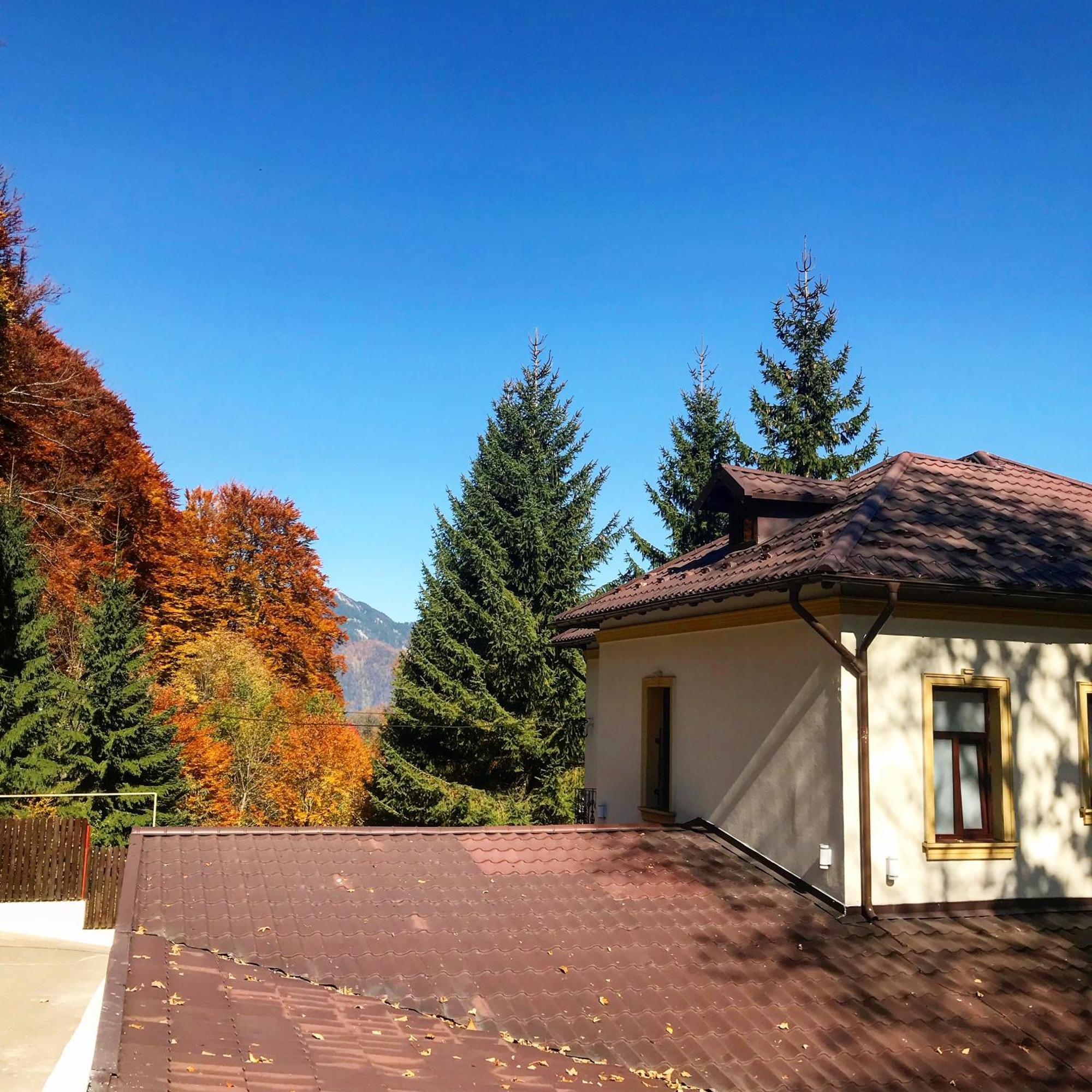 Pension Casa Del Sol Predeal Eksteriør bilde